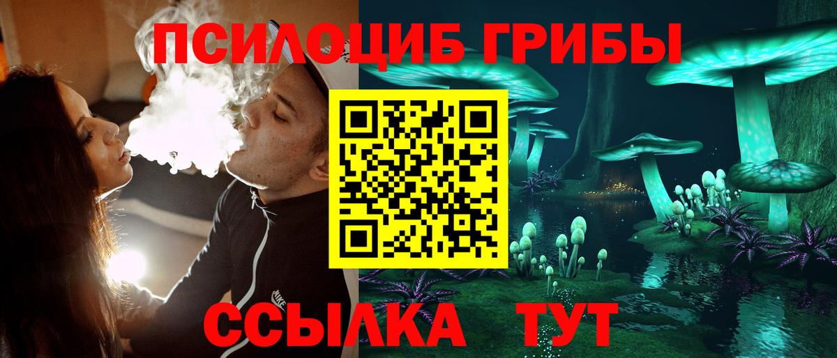 сколько стоит  Вход с VPN  Галлюциногенные грибы прущие грибы  Зима  Галлюциногенные грибы Cubensis 